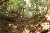 亀山八幡山城写真