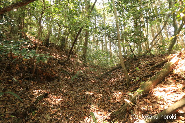 長門 亀山八幡山城の写真