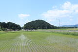 長門 亀山八幡山城の写真