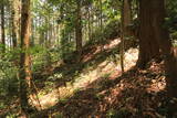 長門 亀山八幡山城の写真