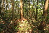 長門 亀山八幡山城の写真