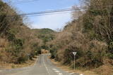 長門 城山城の写真