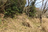 長門 城山城の写真