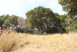 長門 城山城の写真
