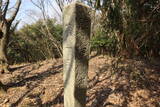 長門 城山城の写真