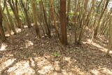長門 城山城の写真