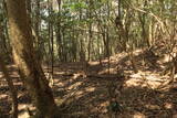長門 城山城の写真