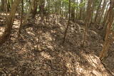 長門 城山城の写真