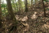 長門 城山城の写真