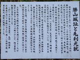 長門 賀年城の写真