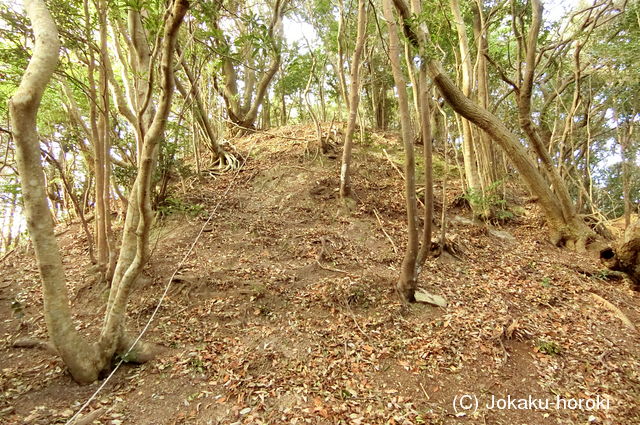 長門 笠松山城の写真