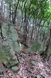 長門 且山城の写真