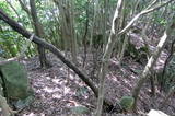 長門 且山城の写真