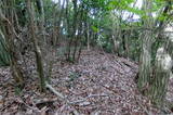 長門 且山城の写真