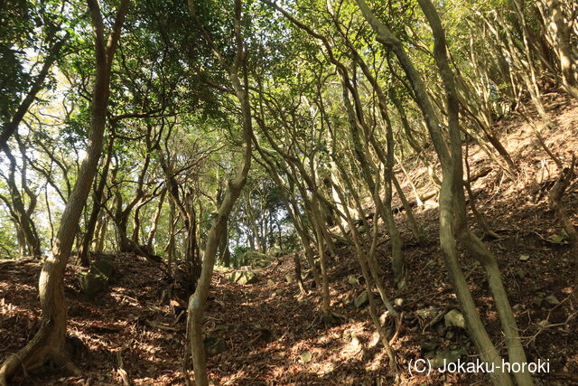 長門 川棚茶臼山城の写真