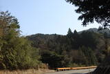 長門 川棚茶臼山城の写真