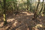 長門 川棚茶臼山城の写真