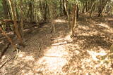長門 川棚茶臼山城の写真