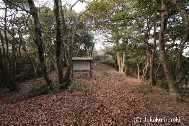 長門 金怡山城の写真