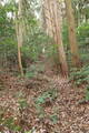 長門 金蔵山城の写真