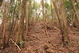 長門 金蔵山城の写真