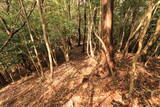 長門 金蔵山城の写真
