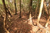 長門 金蔵山城の写真