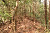長門 金蔵山城の写真