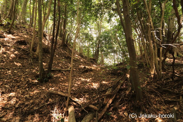 長門 木の実山城の写真