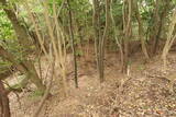 長門 物刈城の写真
