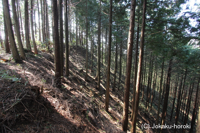 長門 元山城の写真