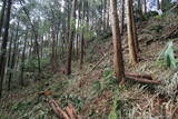 長門 元山城の写真