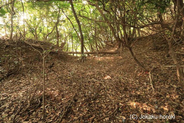 長門 野崎城の写真