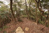 長門 大唐櫃山城の写真