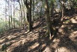 長門 岡部城の写真