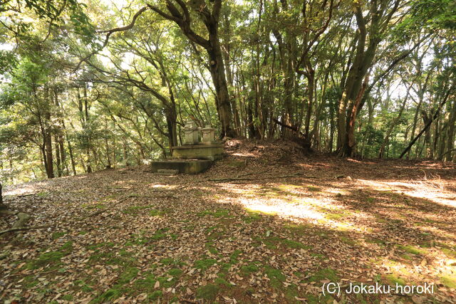 長門 岡枝茶臼山城の写真