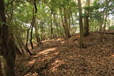 長門 岡枝茶臼山城の写真