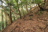 長門 岡枝茶臼山城の写真