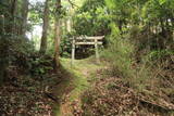 長門 岡枝茶臼山城の写真