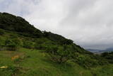 長門 面影山城の写真