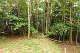 長門 面影山城の写真