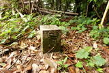 長門 面影山城の写真