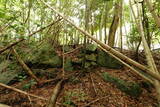 長門 面影山城の写真