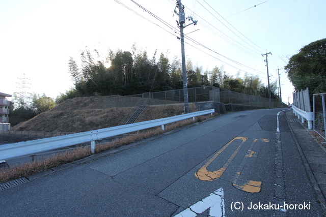 長門 佐加利山城の写真