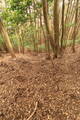 長門 沢差城の写真