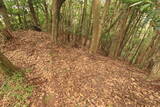 長門 沢差城の写真