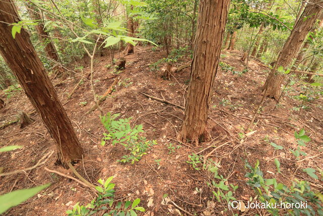 長門 千疋城の写真