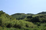 長門 信田ノ丸城の写真