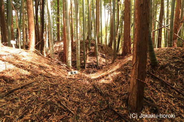 長門 下大野城の写真