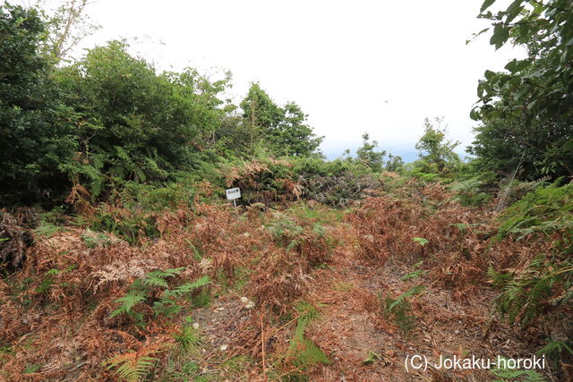 長門 白山城の写真